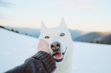 9939