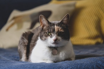 14857