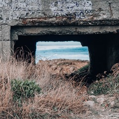 2501