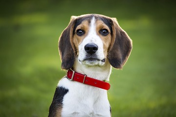 3925