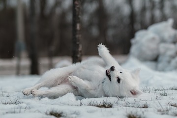 10074