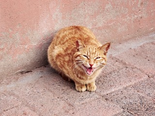 15418