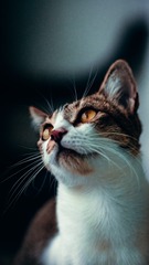 13510