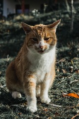 16192