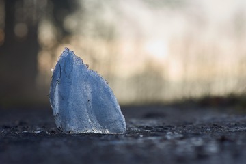 207