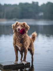 1160
