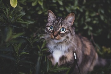 15192