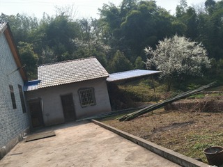 1603911