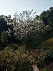 1603904