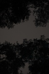 630D6E09-BF0D-49E1-85A4-885C3E529180/L0/001
