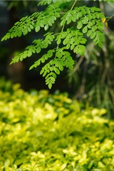 0926E465-88D7-40BB-B7D1-DC3A104FF919/L0/001