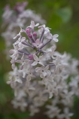 3D1907AD-7B2F-4278-A825-AB50AF636D59/L0/001