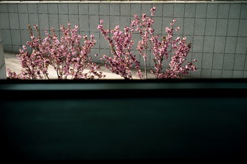 22A8C4EA-0BF5-47B5-9496-4E199AA1FC47/L0/001