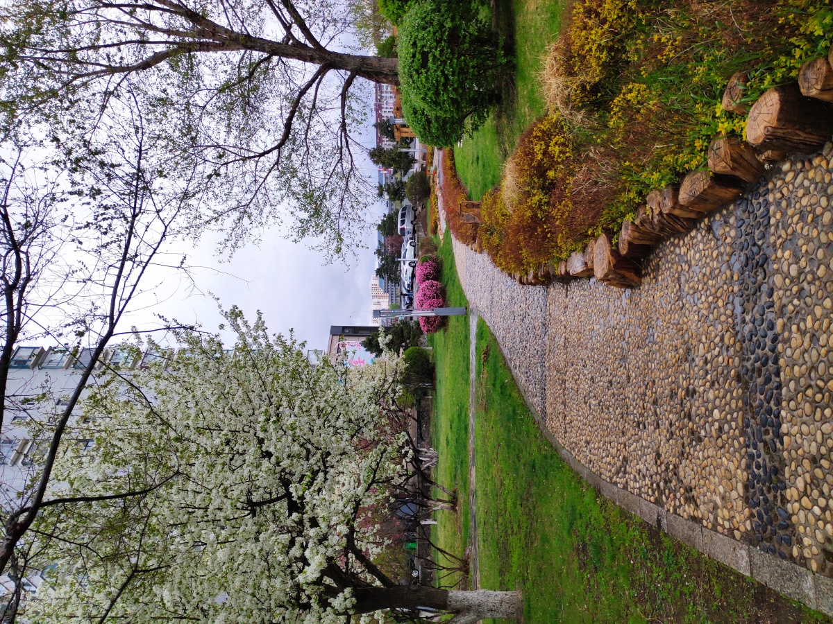 小路 公园 休闲 雨后 延吉
