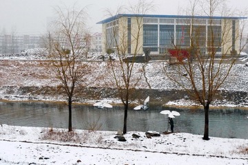 P1050808