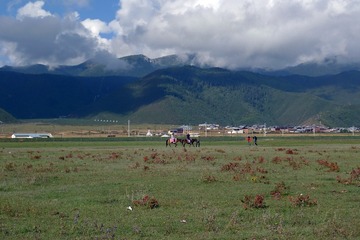P1150678
