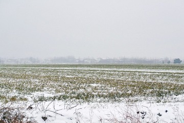 P1050804