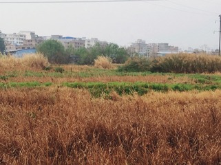 9E6DDBFD-569A-4D8D-B5AE-AE5B93E2B2B6/L0/001