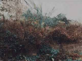 008AB728-F023-44CE-8212-1E79D89F7CBB/L0/001