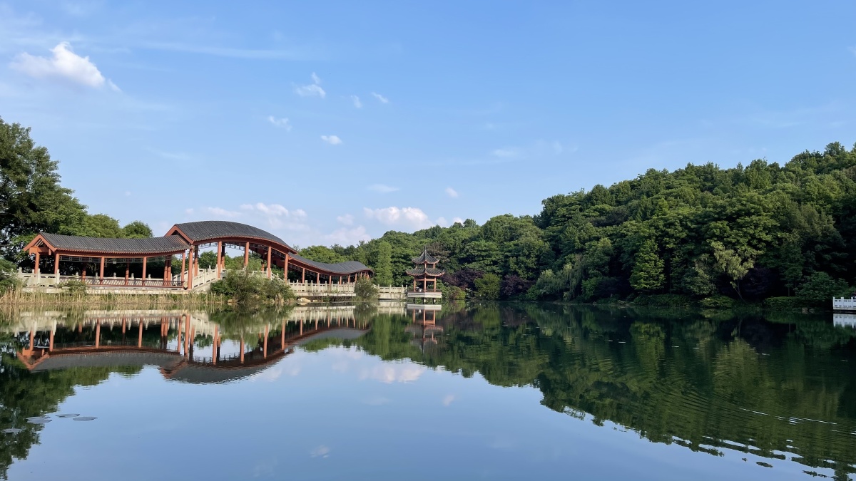 初夏的长沙风景