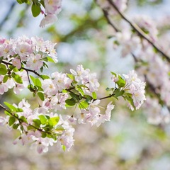 _MG_1142.jpg