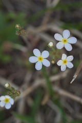 _MG_1387.jpg