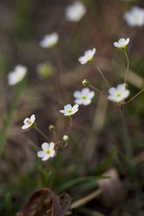 _MG_1392.jpg