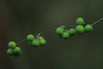 45603