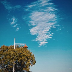 37556C39-CA7C-4112-93D8-E206B06C23CF/L0/001