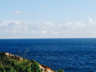 27C12617-3AC1-40FE-B090-FE696B6949C0/L0/001