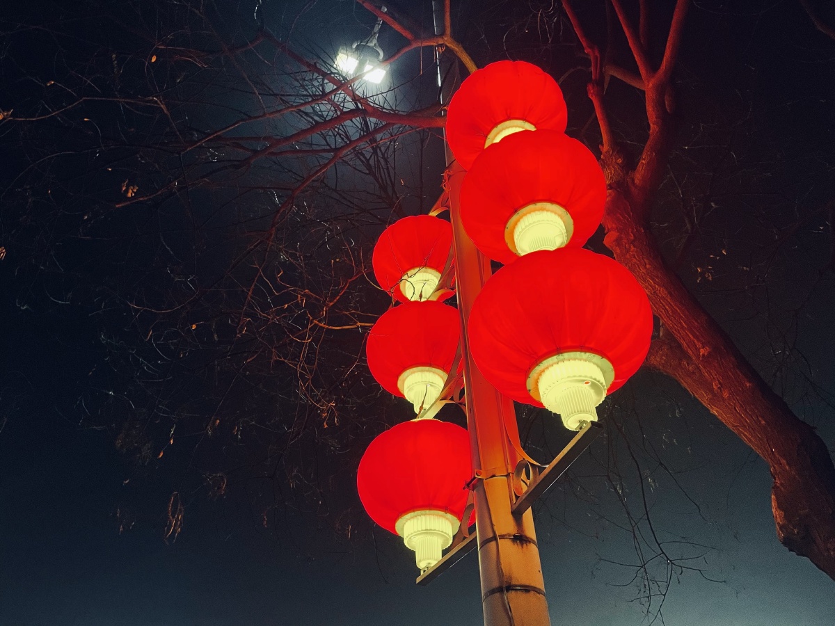 灯笼新年夜里树上路边