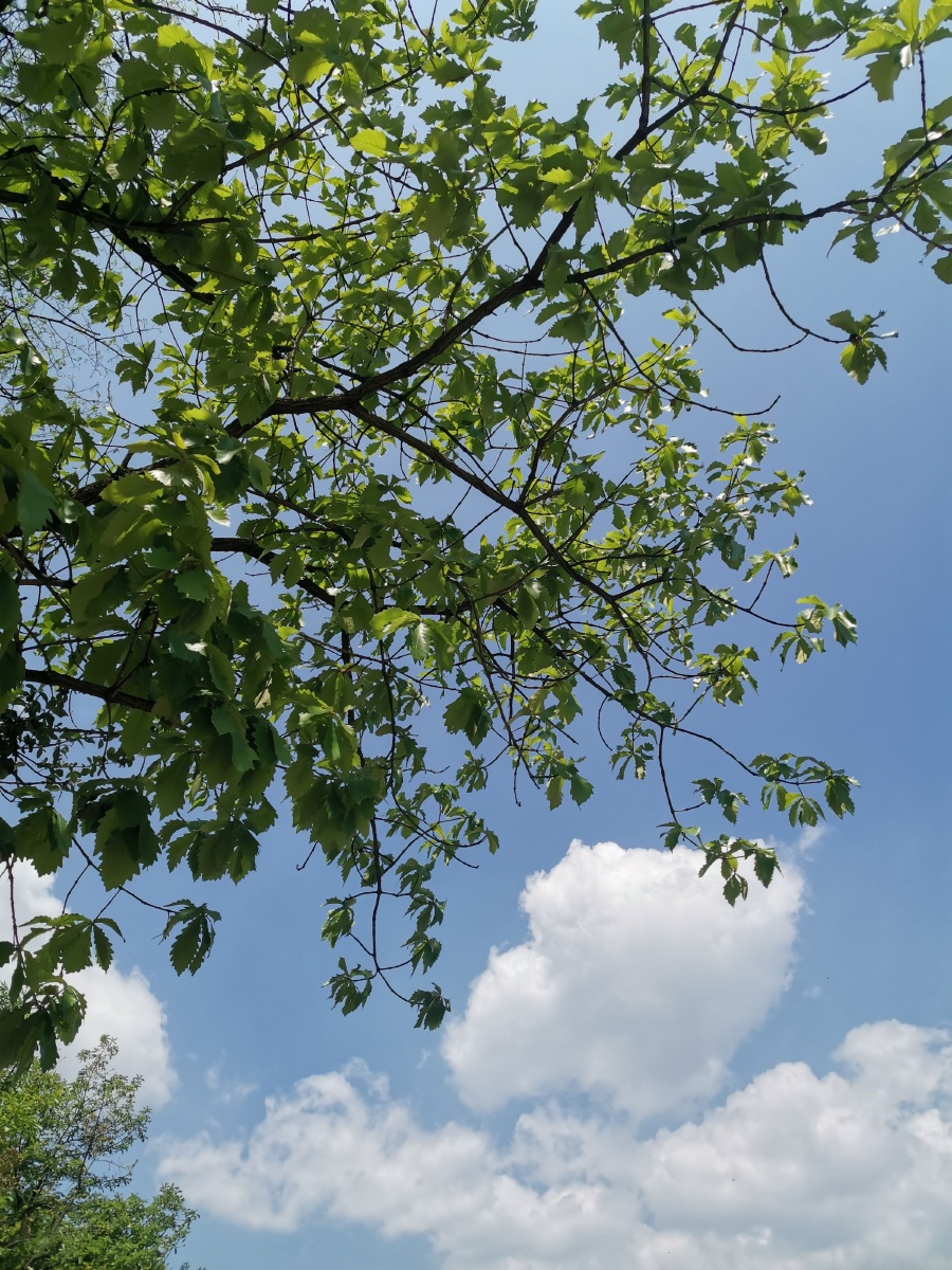 用心去感受春天春风拂面