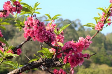 708F4571-3C0B-4ED4-9AB9-B7D182C74B3A/L0/001