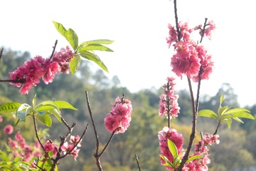 9A5A1239-4BCF-40F3-B8FE-F27CEE61B98D/L0/001