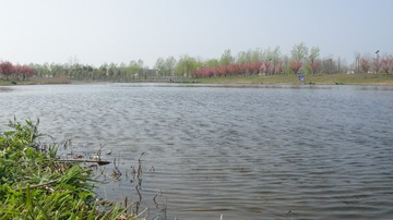 2DD1FE93-D8CF-43E9-8E35-4DE730C41865/L0/001