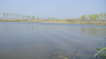 66ADCB4C-F952-423F-A373-D102545AF210/L0/001