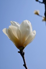 795F732D-A635-4D99-81DF-EB5471082B3F/L0/001