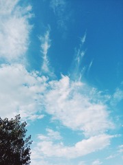 1635065
