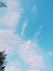 1634688