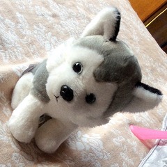 A7A1E0FB-DC57-420F-9908-BBD3DFFEEB8F/L0/001
