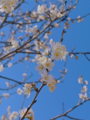 BD275756-8148-4E23-A647-054E5845E5E8/L0/001