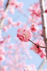 84E37C6E-D52B-42EA-937A-5B75178510B1/L0/001