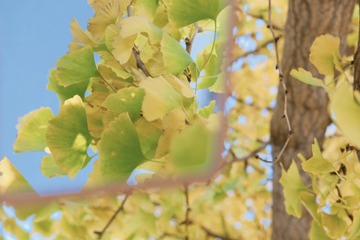 3681F3AD-3D5D-4C55-ADB1-A7D669E67CD2/L0/001