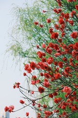 2FBBE7C9-7B06-4287-B089-37FE438D5F98/L0/001