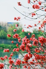 366E0F90-F197-462F-B1A9-5CCF55CFDCFA/L0/001