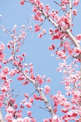 A61517C6-23F7-44F1-AE38-AC7FB46B7111/L0/001