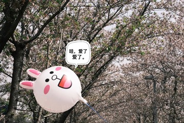 64335D6D-0658-4DA2-A65E-8FBD471A1BEF/L0/001
