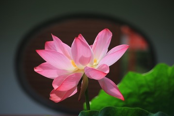 1F12975E-93A3-448D-967B-7307B45A7F59/L0/001
