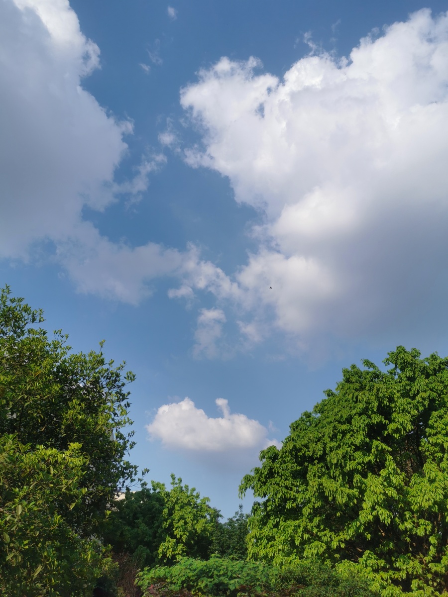 晴空万里心情美美哒