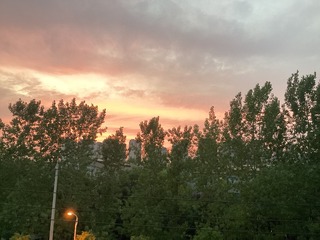 69F67C8D-C156-4732-AC27-D0EA86C6943C/L0/001